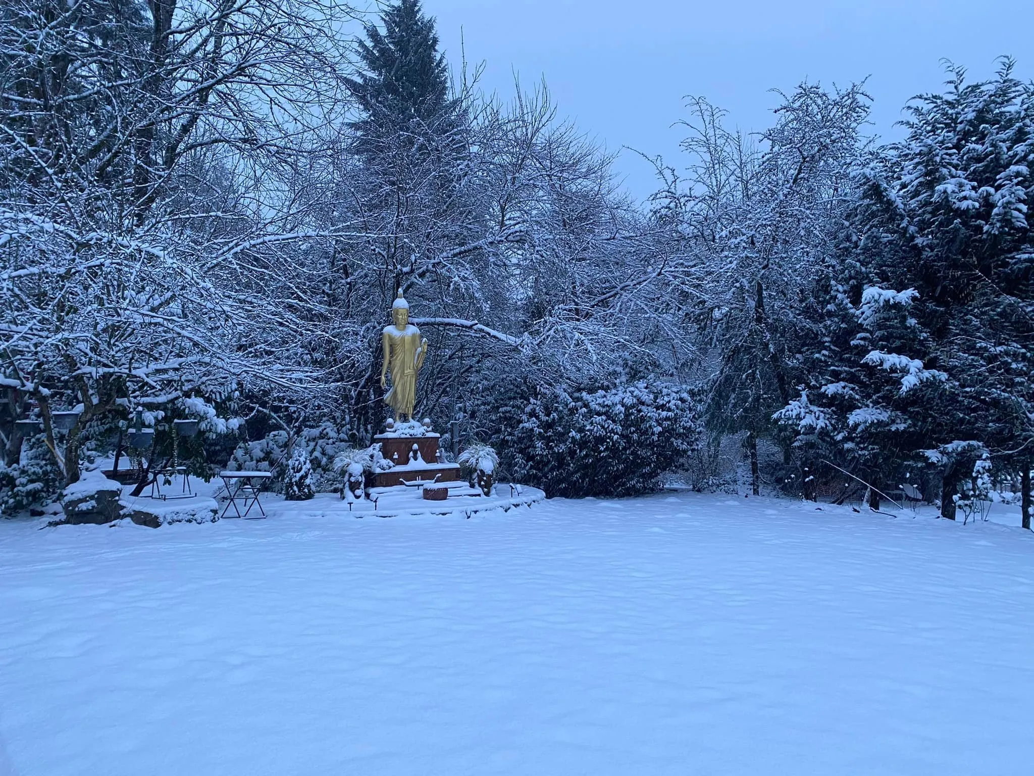 Buddha at the ABM covered in snow